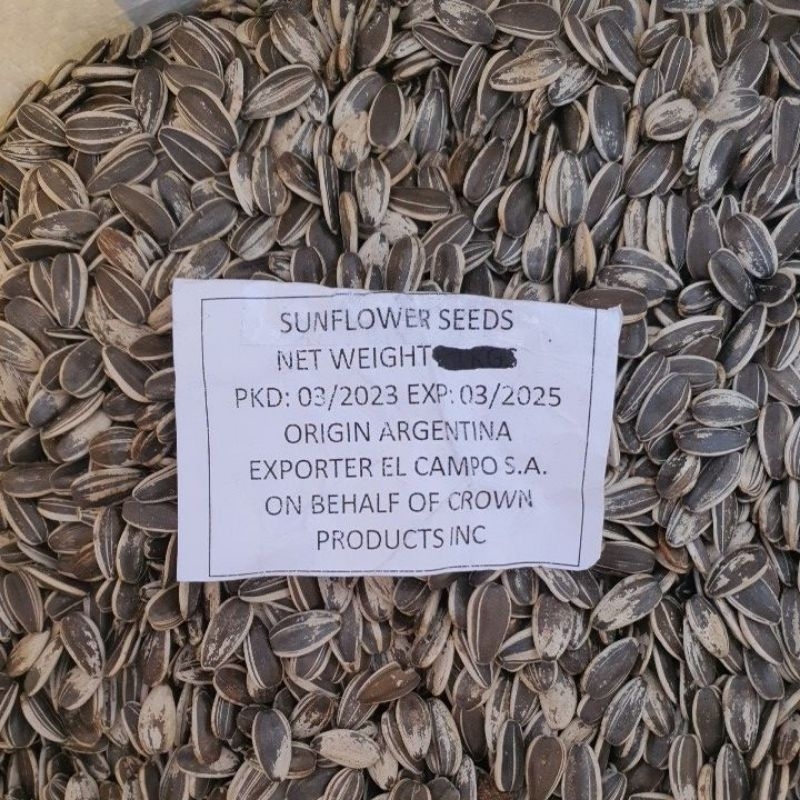 Sunflowers seeds Large size Shopee Singapore