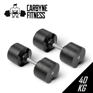 Adjustable dumbbell 41.5kg in 1.5kg increments, 26 dumbbells in 1