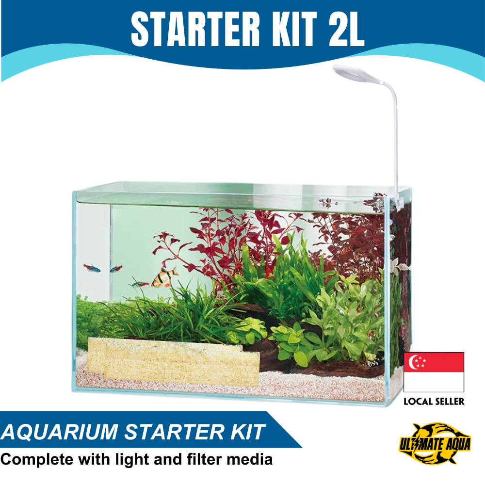 2L Starter Aquarium Fish Tank Complete With Led Light And Bacteria House Filter Media