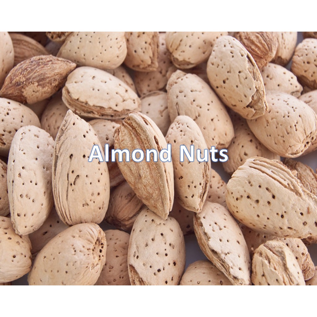 [250g] MARY Chirps Raw Almond With Shell for Birds Shopee Singapore
