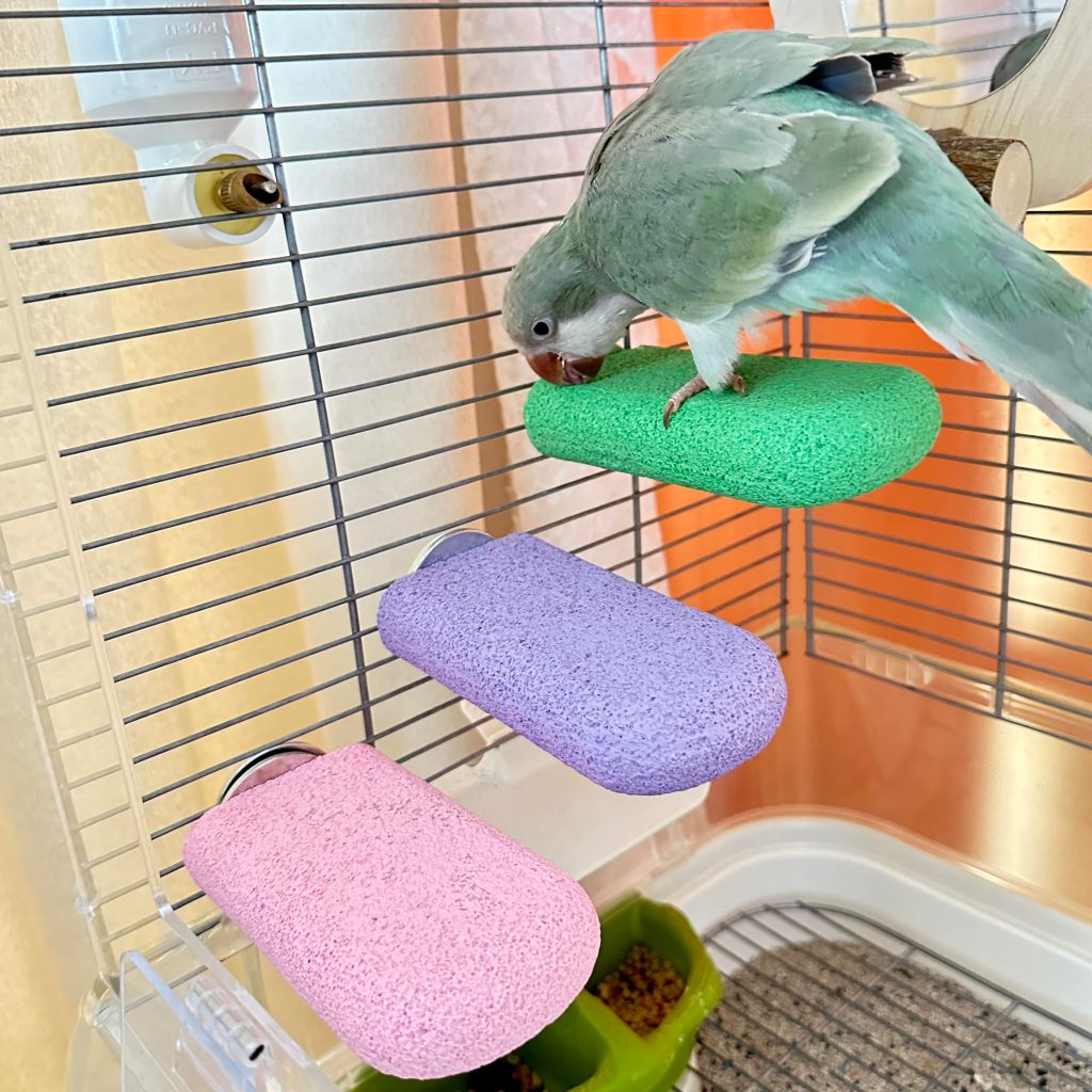 Photo inspiration: Fresh Look at Sg Bird Perches For Cage Parrot Stand Toy Platform Paw