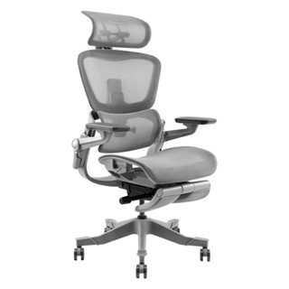 HINOMI H1Pro & H1Pro V2 Fully Customisable Mesh Ergonomic Office Chair /  Computer Chair / Study Gaming Chair / Lumbar Support Chair / Mesh Chair  With 3D Back Support For Home