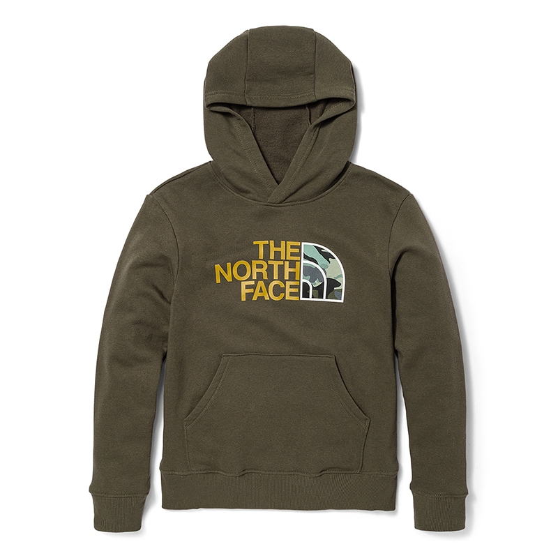 The North Face Boys’ Camp Fleece Pullover Hoodie TNF New Taupe Green