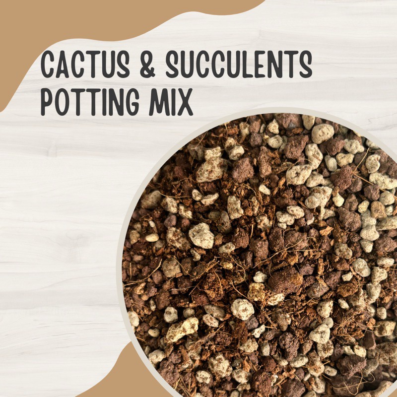 Cactus and succulents potting mix (2 Litre) Shopee Singapore