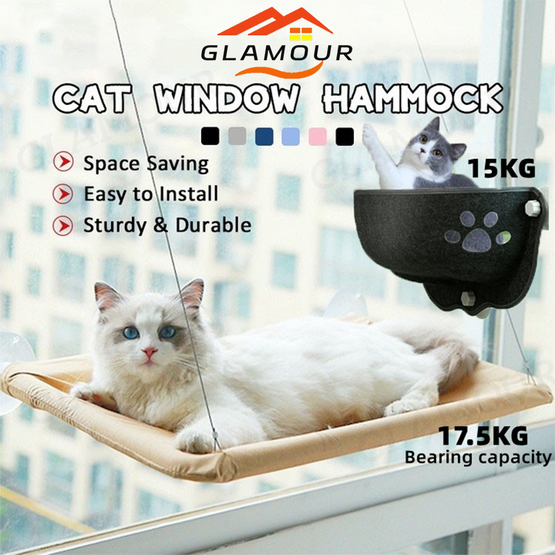 Suction cup best sale window cat bed