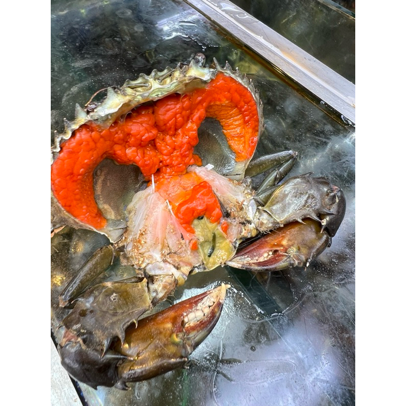 🦀Live Crabs Female with Roe 250grams - 300grams / Tiger Prawns | Shopee ...