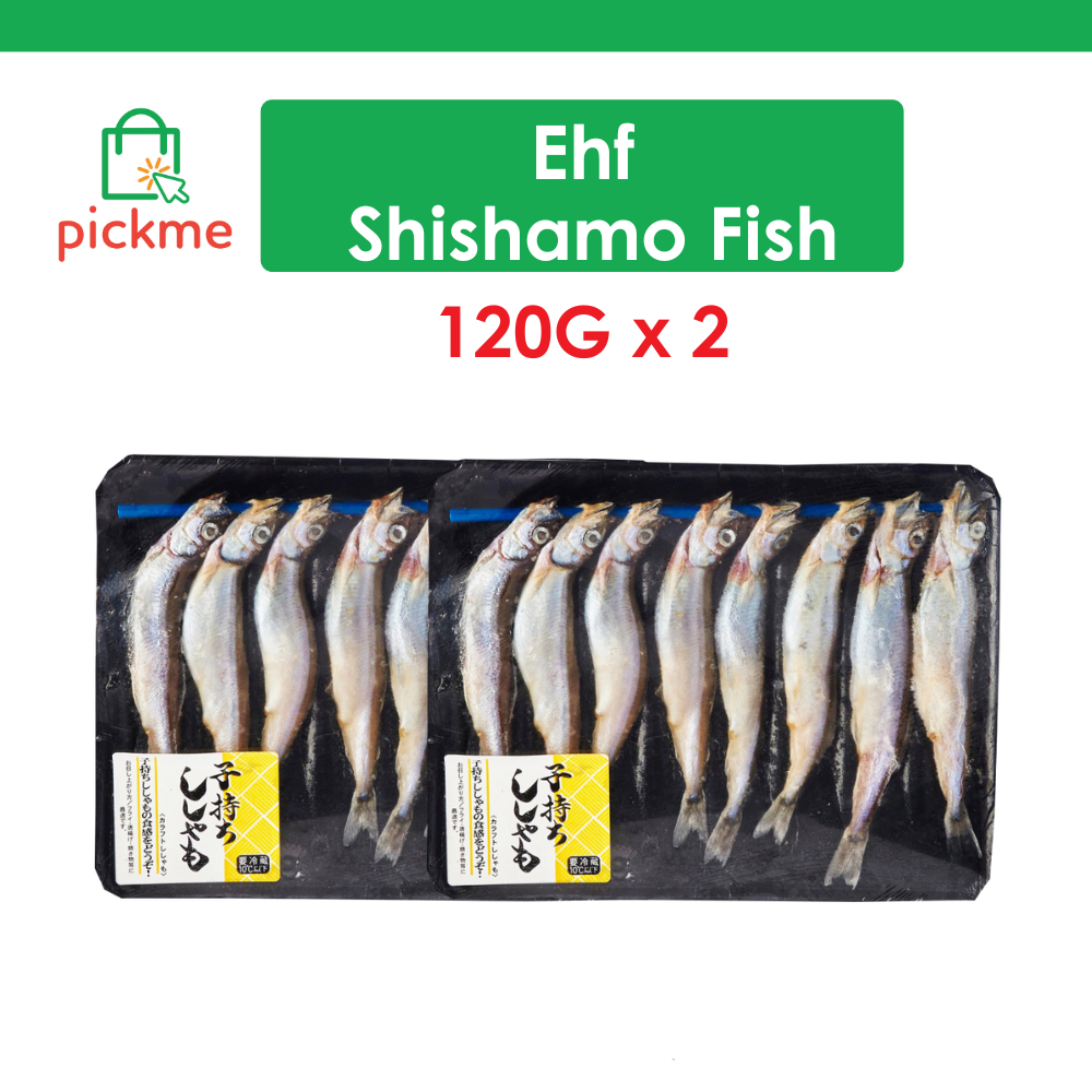 SHISHAMO 激レアピック aYBbGV9JJ6wYGls4.jpg