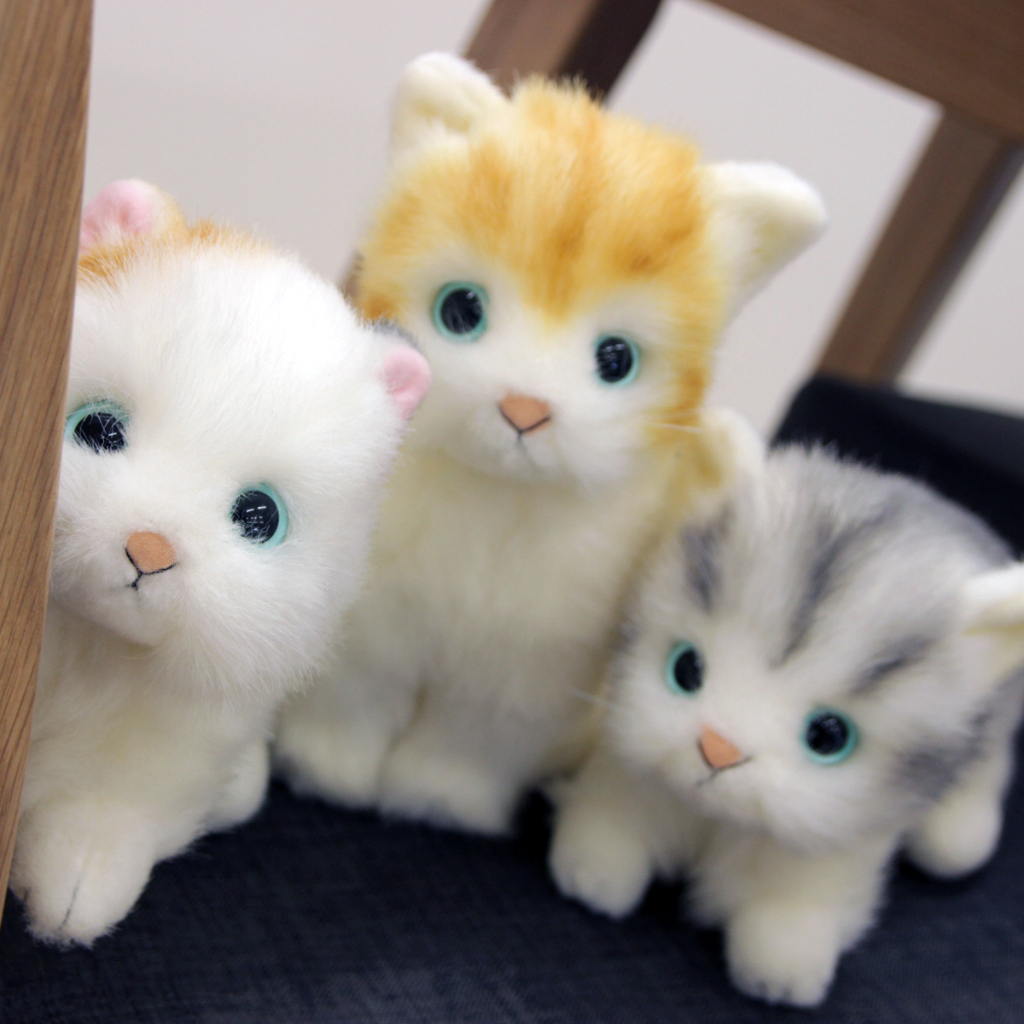 DOUSIN Made in Japan Realistic cat stuffed toy Plush 28cm, 5colors ...