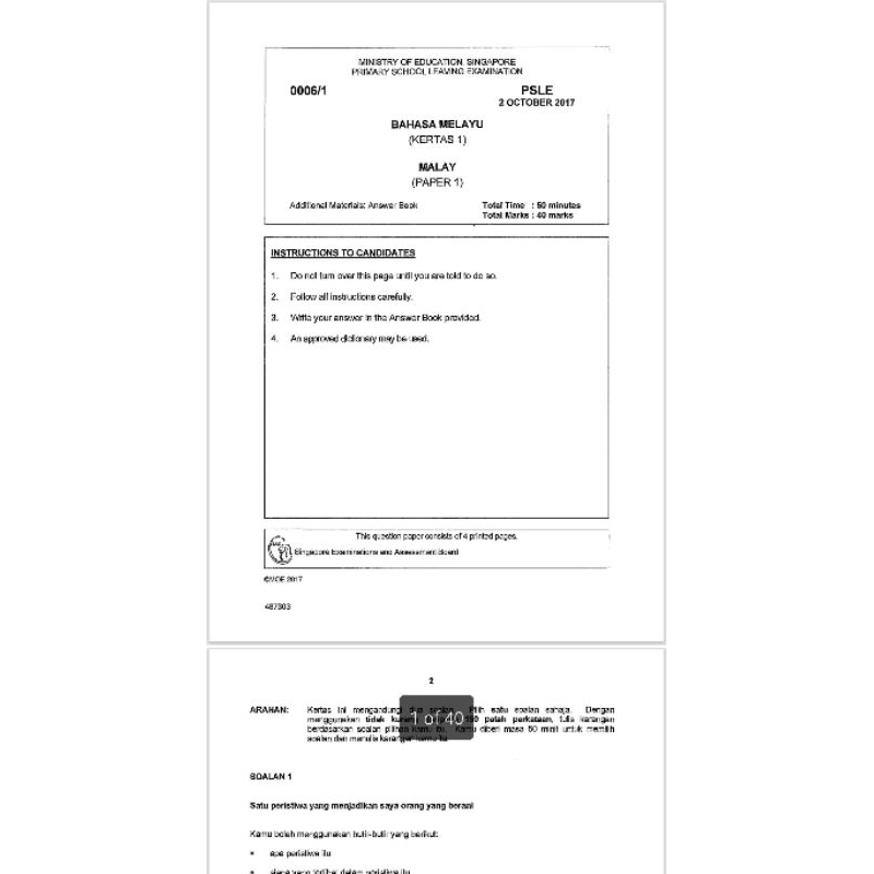 RESTOCK AGAIN! REAL OFFICIAL PSLE PAPERS 2012-2022 EXAM PAPERS P6 ...
