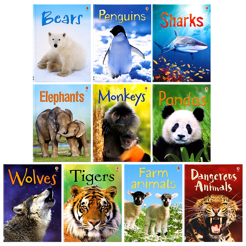SG Stock Authentic】Usborne Beginners Series Collection 10 Books