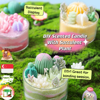 1 Pc Silicone Christmas Cedar Scented Candle Making Mold For Diy