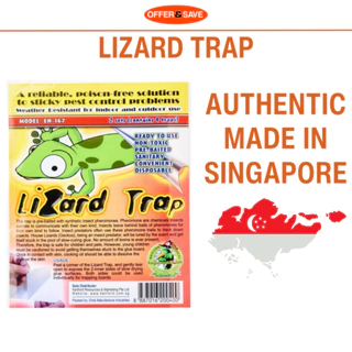 Lizard Trap - Prices and Deals - Apr 2024