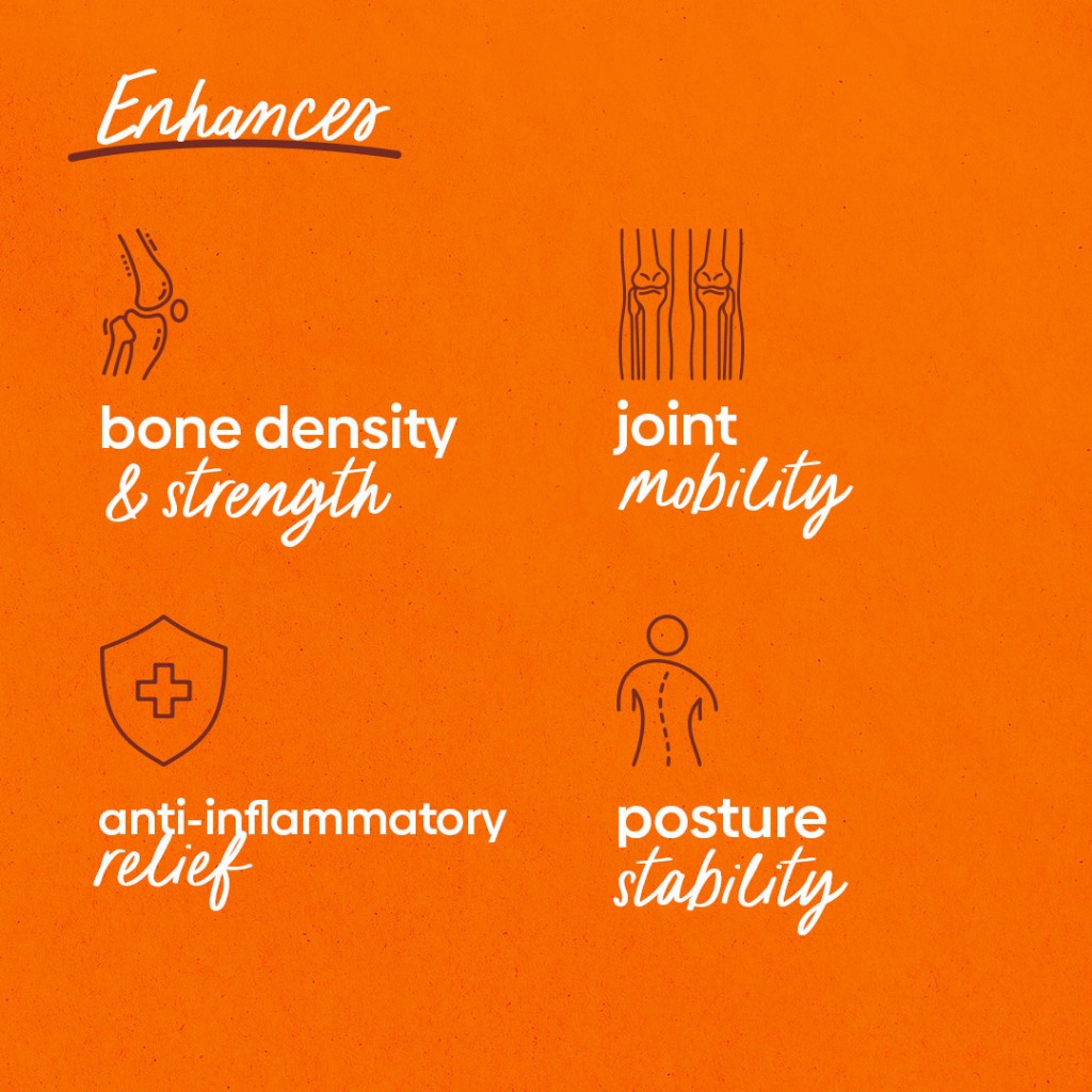 Purest Co Daily Bone+ Drops (Bone & Joint Health) | Shopee Singapore