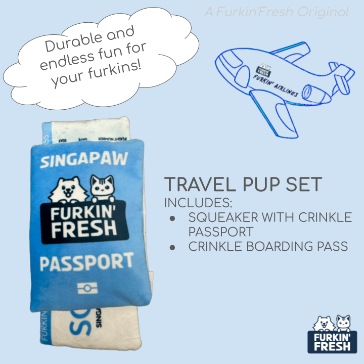 Dog Toy Cute Passport with Boarding Pass Squeaker Crinkle Toy