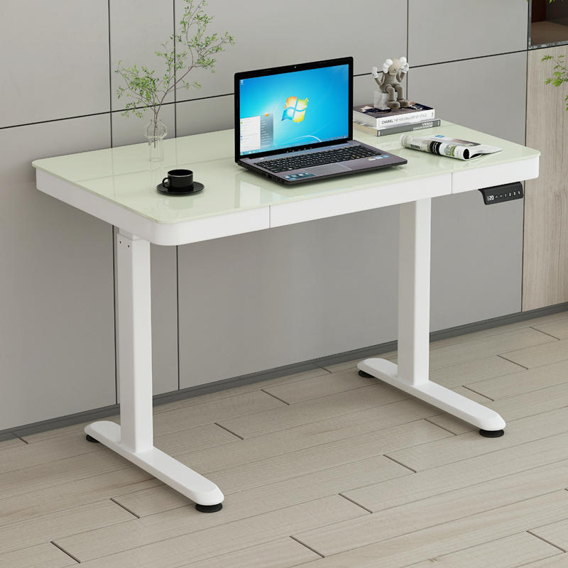 Free Installation! Premium Electric Memory Height Adjustable Computer ...
