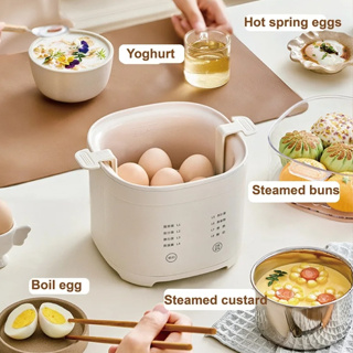 120W Electric Egg Boiler Automatic Steamer Mini Breakfast Machine