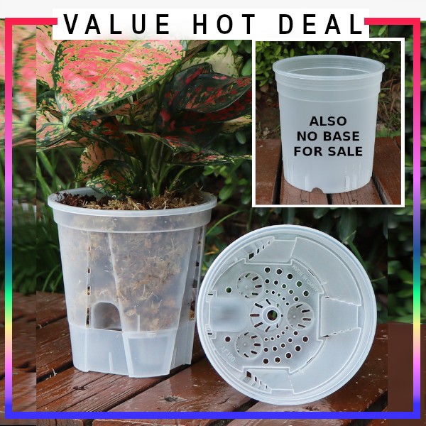 Transparent Plant Pots With Base for Aroids And Orchids | Shopee Singapore