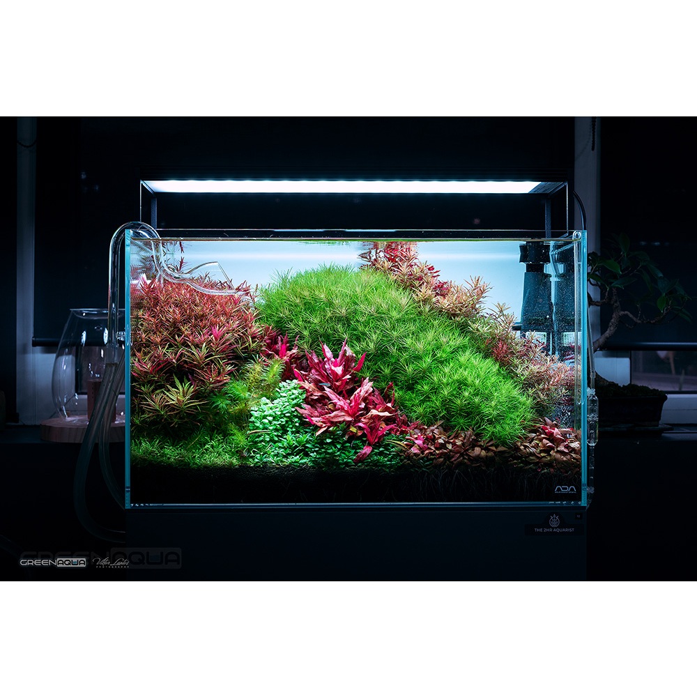 Chihiros WRGB II Series LED Light (WRGB II/WRGB II SLIM 30/45/60
