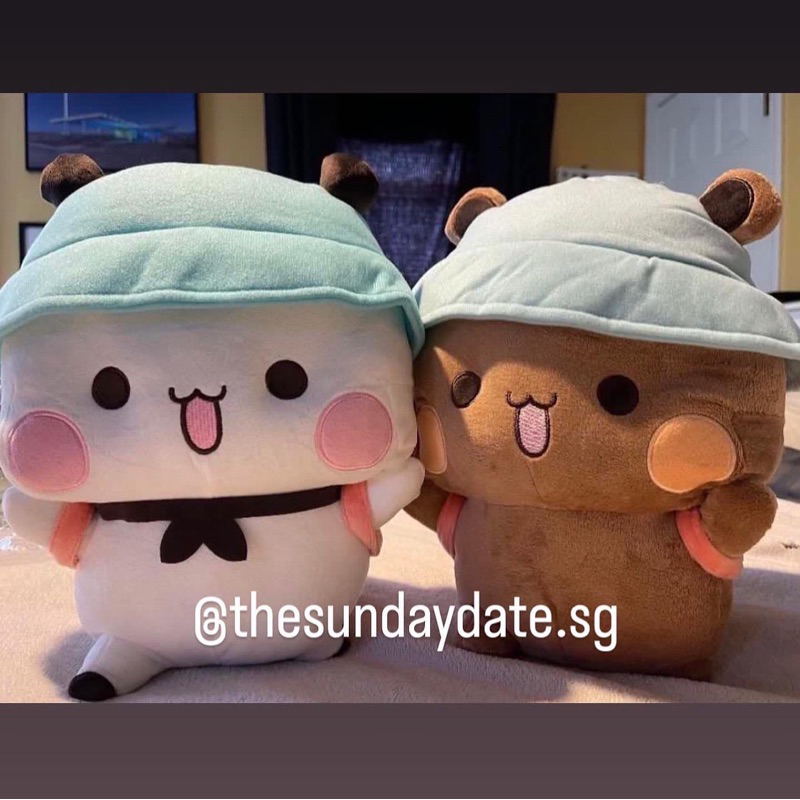 🇸🇬 [SG SELLER] INSTOCK VDAY VALENTINE GIFT XL 40CM CLAW MACHINE BUBU DUDU  BEAR PANDA STICKER PLUSH TOY PLUSHIES GIFT SET