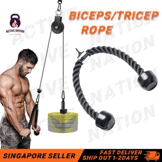 tricep rope - Prices and Deals - Jan 2024