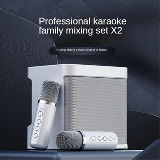 Chinese Brand Karaoke Machine, 2 Wireless Microphones Portable