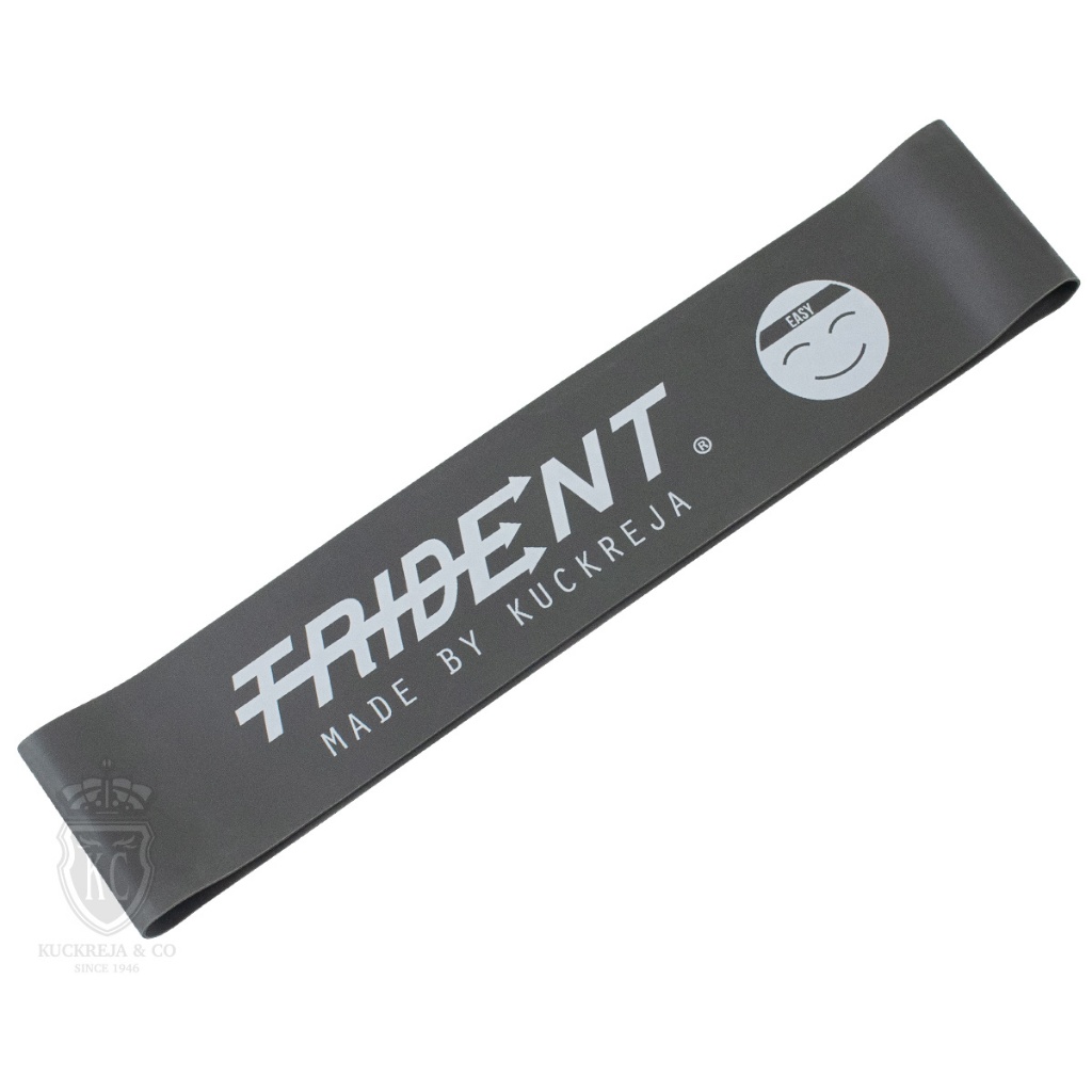 Trident Fitness Band Ring Easy 0.7mm (510kg) Shopee Singapore