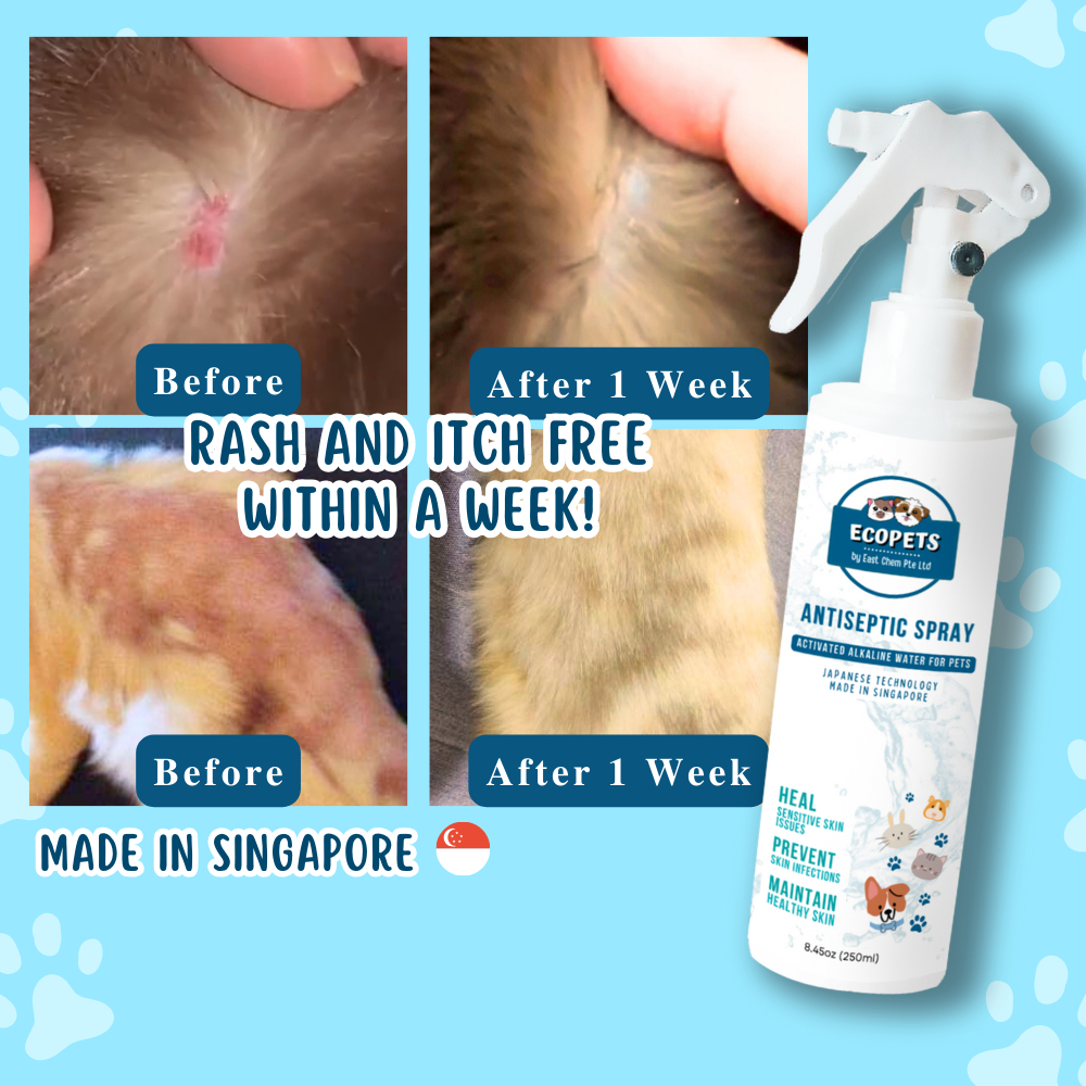 [SG Local Brand] ECOPETS Lick Safe Antiseptic Spray For Pets Skin (Hotspots, Bumps, Rashes, Itch