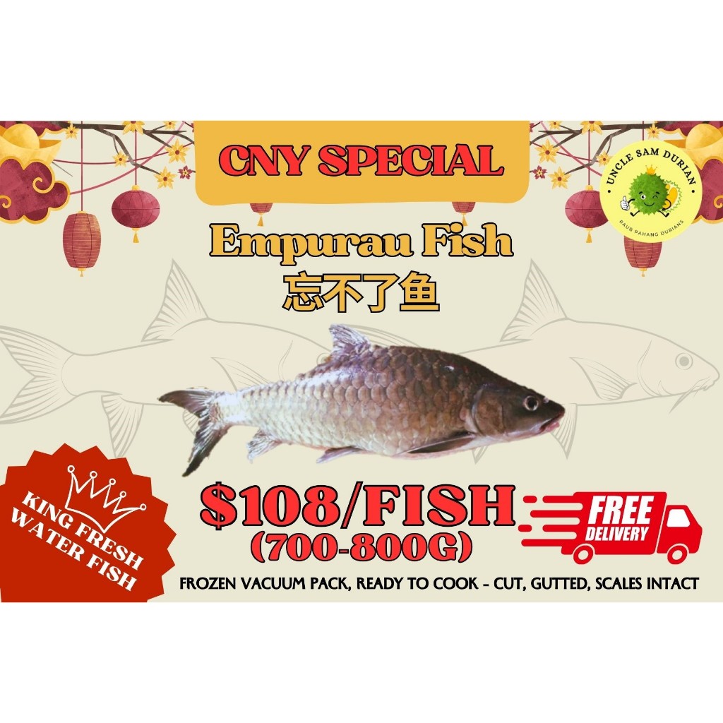 EMPURAU FISH （FRESH WATER FISH KING) 忘不了鱼（谈水鱼王） | Shopee Singapore