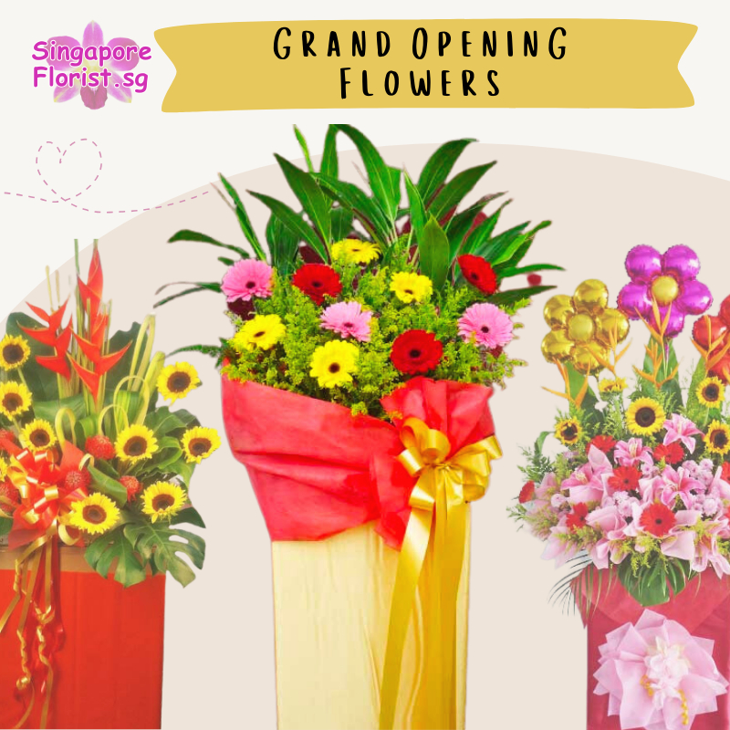 [SIngaporeFlorist.sg] Grand Opening / Congratulatory Flowers / Shop