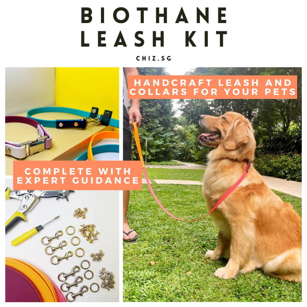 Biothane Leash and Collar DIY Kit | Shopee Singapore