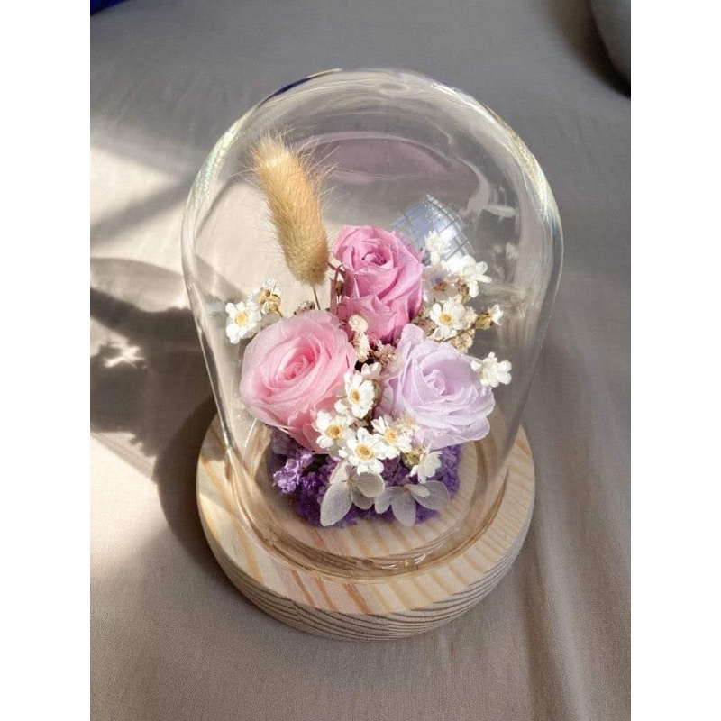 [SG Seller] Pastel Colour 3x Preserved Roses Flower Dome for Farewell ...