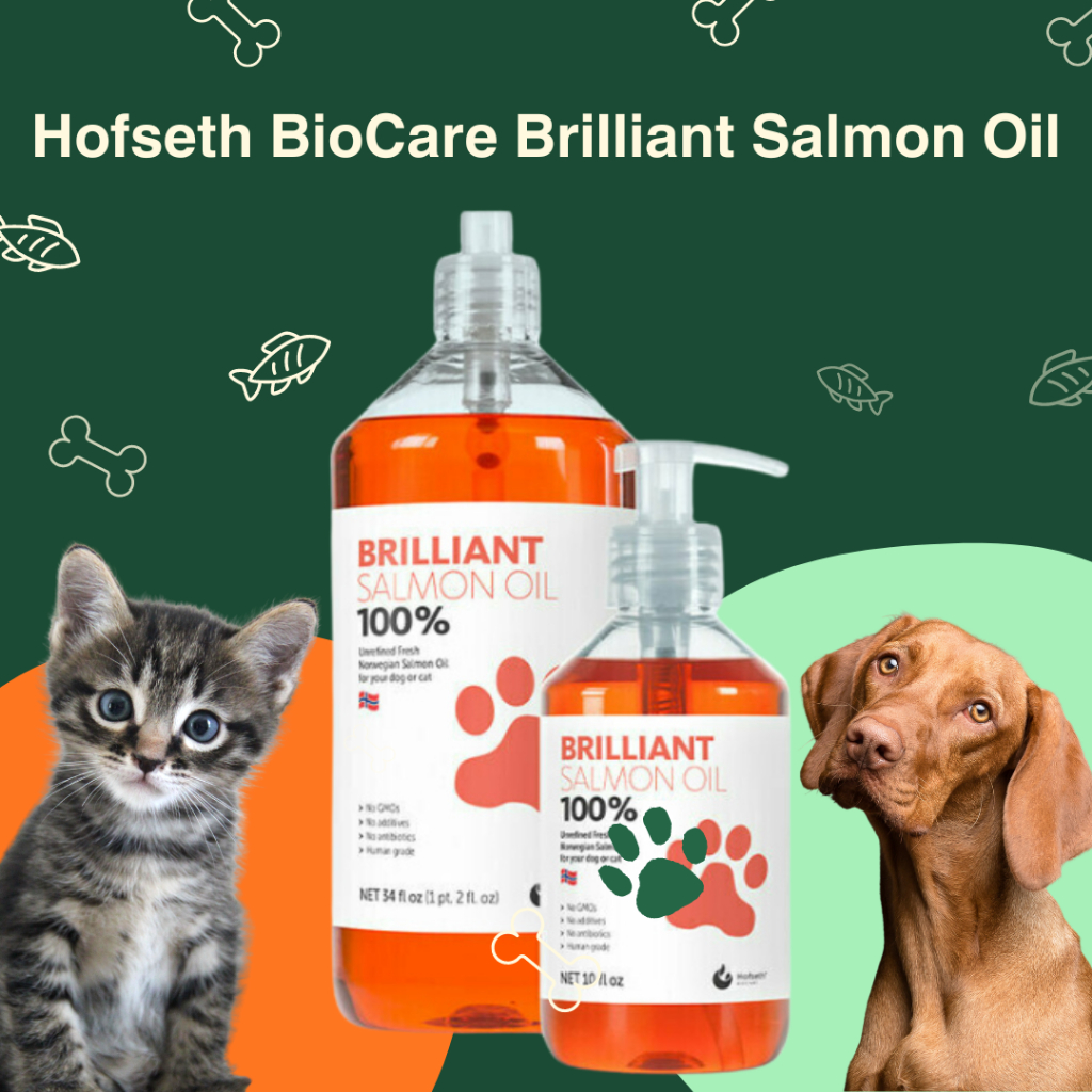 Hofseth BioCare Brilliant Salmon Oil 100 for Dogs & Cats 300ml (Omega