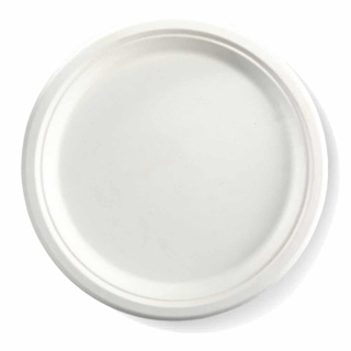 Buy plate disposable At Sale Prices Online - March 2024