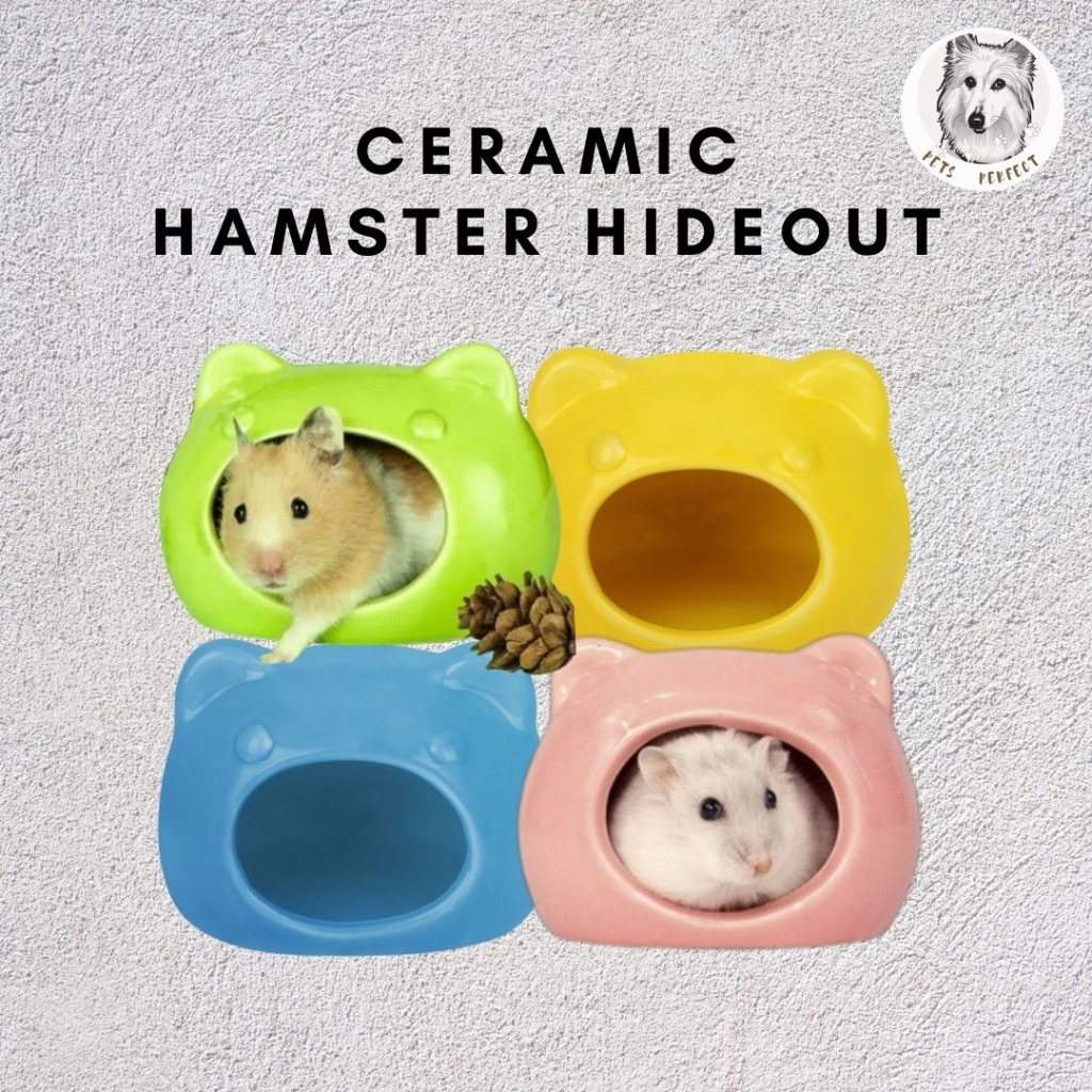 Ceramic best sale hamster hideout