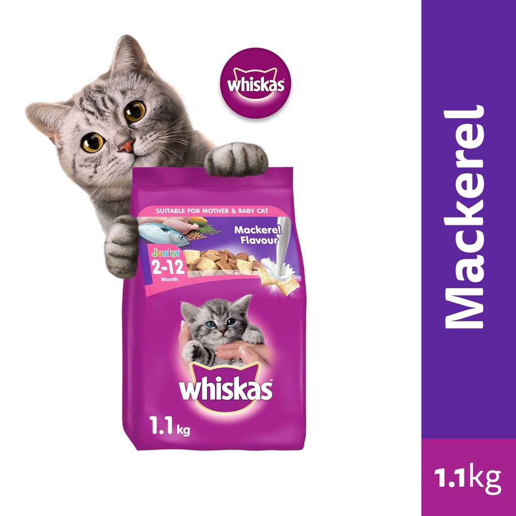 Whiskas Junior Ocean Fish Mackerel Flavor with Milk Kitten Food Dry Cat Food for Kittens 1.1kg Shopee Singapore