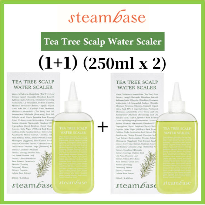 STEAMBASE Hair Loss Scalp Water Scaler (1+1)250ml X 2/Dry Scalp ...