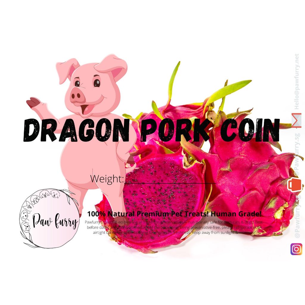 Dragon Pork Coin Shopee Singapore