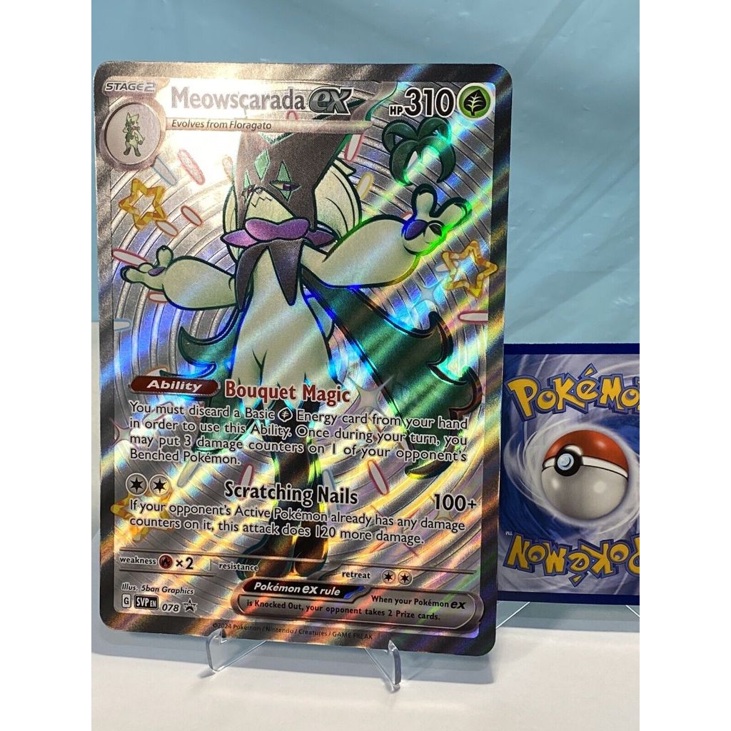 Pokemon TCG Jumbo cards (Various designs to choose from) | Shopee Singapore