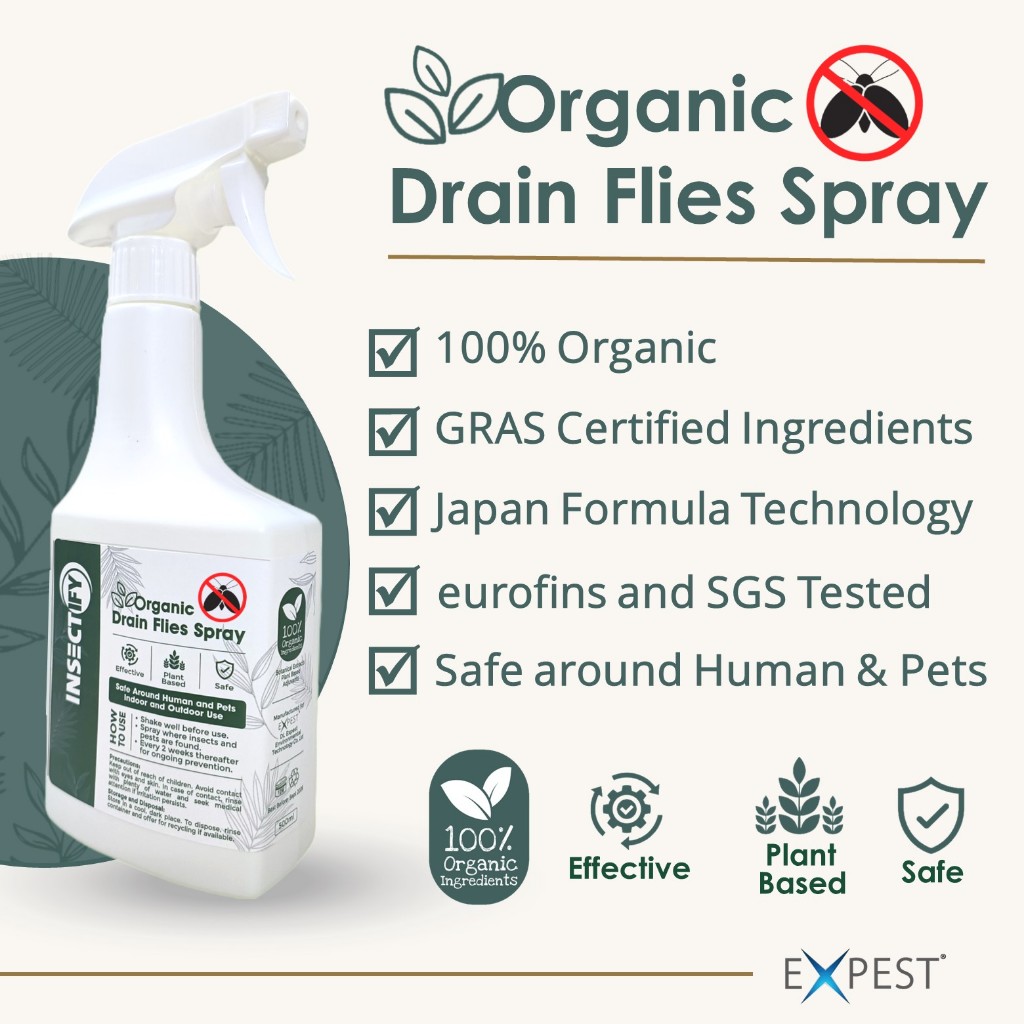 Insectify Organic Drain Flies Spray 500ml [No More Drain Flies] | Shopee Singapore
