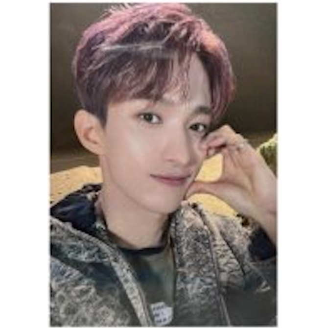 SEVENTEEN ALWAYS YOURS OFFICIAL SELFIE PHOTO CARD / S.COUPS