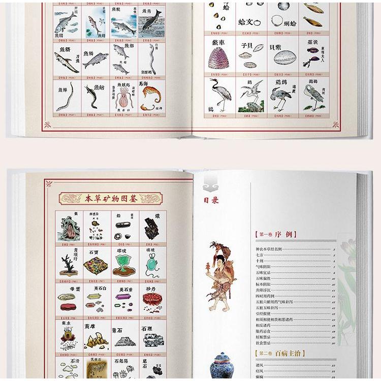 SG汉舟书店☆Illustrated Compendium of Materia Medica 彩色加