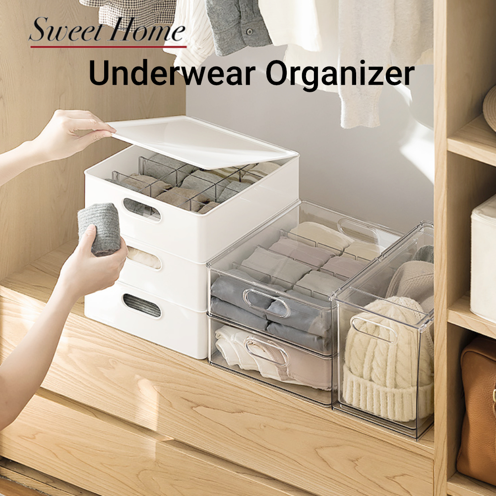 Underwear Organizer PET Material Bras Panties Briefs Storage Box Closet ...