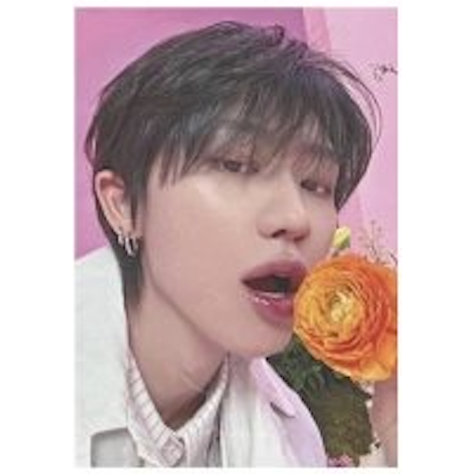 SEVENTEEN ALWAYS YOURS OFFICIAL SELFIE PHOTO CARD / S.COUPS