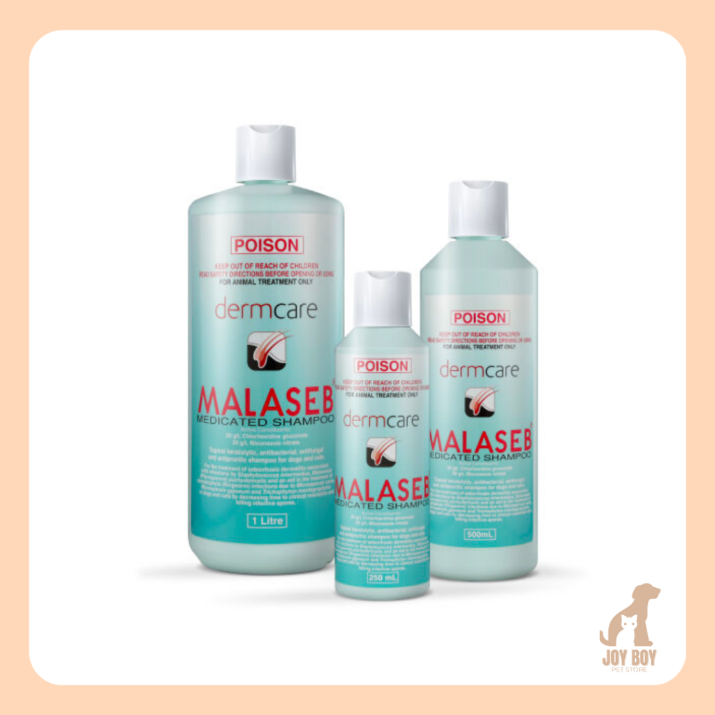 Malaseb medicated shampoo for dogs & cats best sale