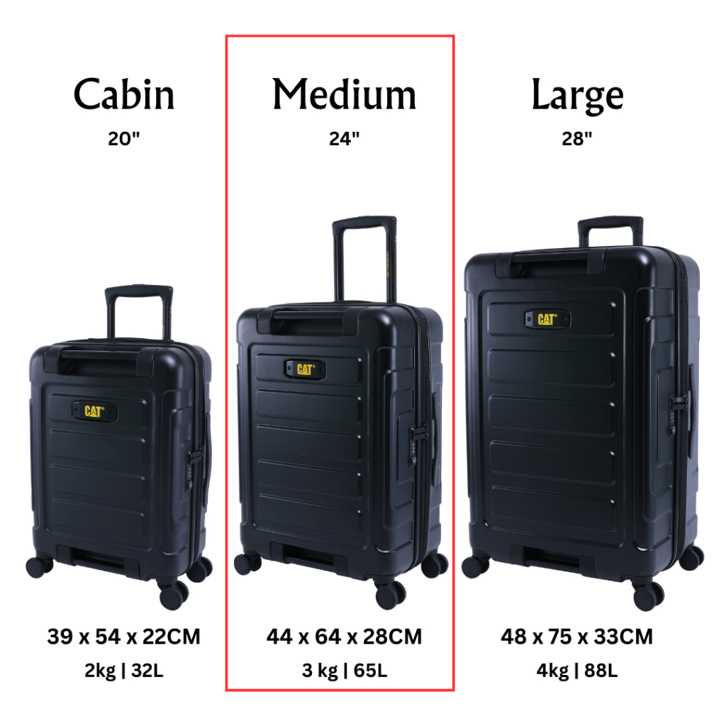 Cat cabin luggage online