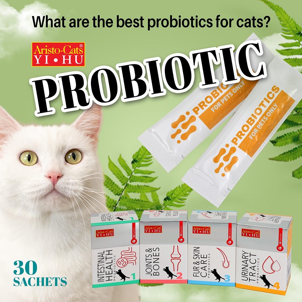 Aristo Cat Gut Health Probiotics (30 Sachets) Shopee Singapore