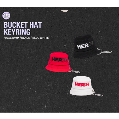 2024 IU H.E.R WORLD TOUR CONCERT Site Official MD | Shopee Singapore