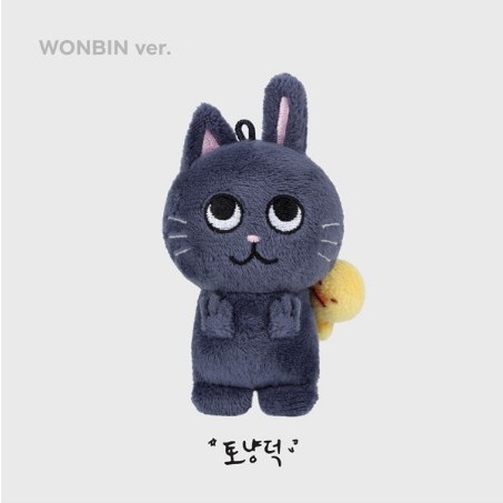 RIIZE - 10CM DOLL KEY RING | Shopee Singapore