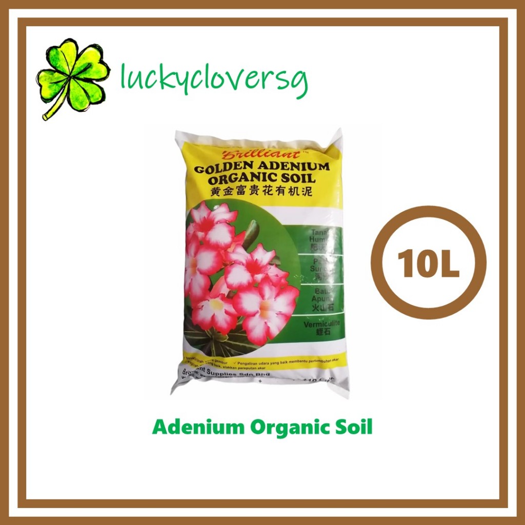 Brilliant Golden Adenium Organic Soil 10L | Desert Rose Potting Soil ...
