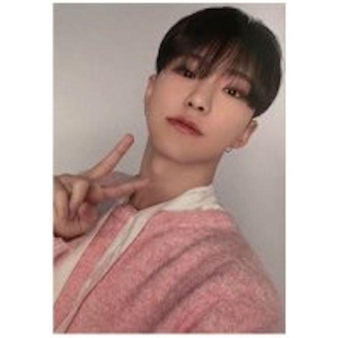 SEVENTEEN ALWAYS YOURS OFFICIAL SELFIE PHOTO CARD / S.COUPS